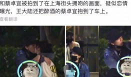 吃瓜爆料王大陆视频下载,独家下载，一睹明星风采